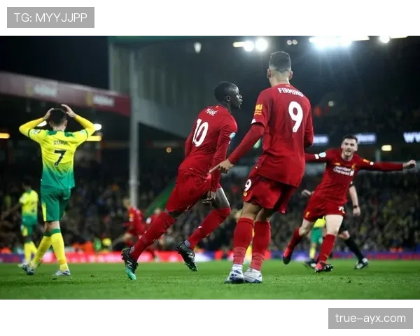 芬兰球迷“雪鸮军团”助威热潮助推国家队状态强势回暖