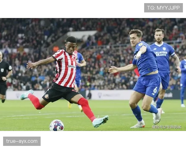 谢菲尔德联队新赛季剑指前五，全新阵容引人瞩目