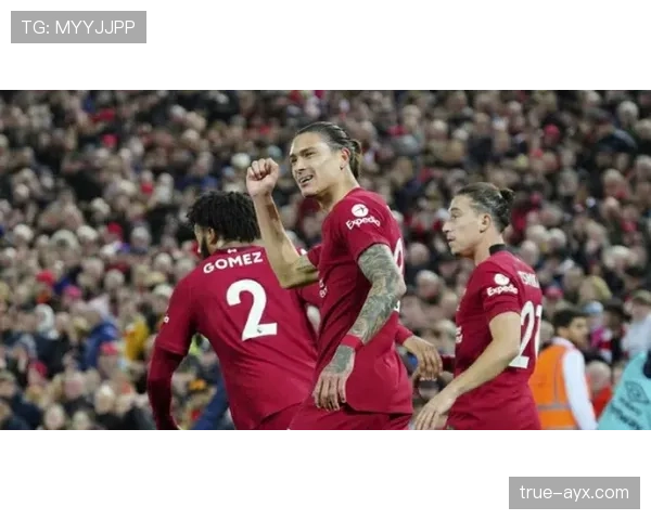 谢联强势反弹,状态回暖重拾胜势 谢联强势反弹,状态回暖重拾胜势