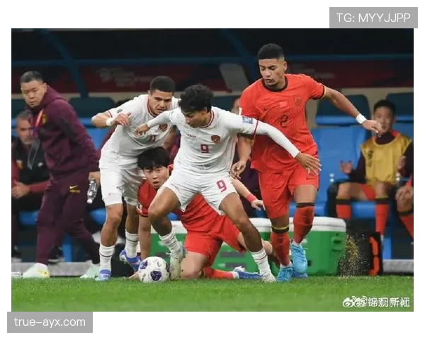 芬兰国足主场强势取胜,全取三分助力晋级之路